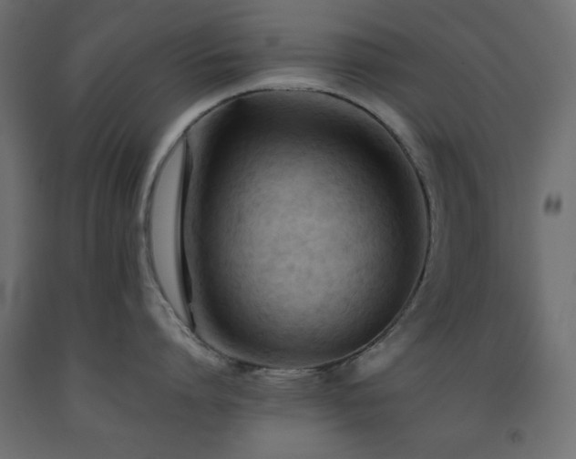 X0000093560864200710151106