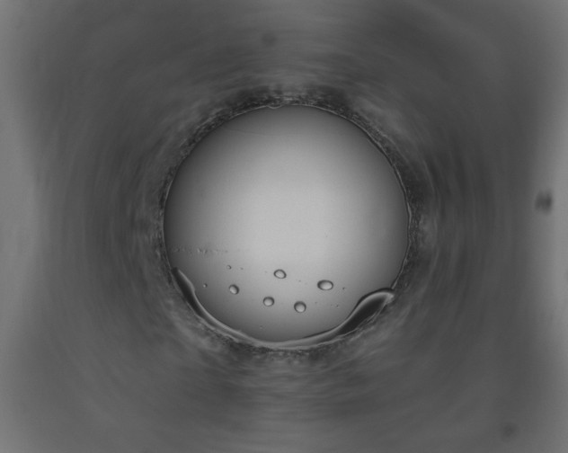 X0000093560865200710151105