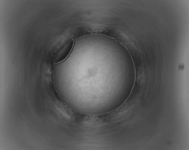 X0000093560866200710151105