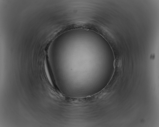 X0000093560868200710151105