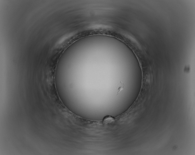 X0000093560869200710151105