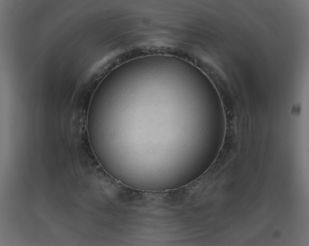 X0000093560870200710151105