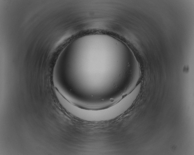 X0000093560872200710151105