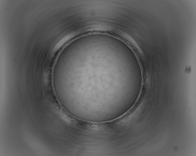 X0000093560874200710151105