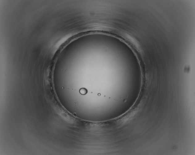 X0000093560875200710151105