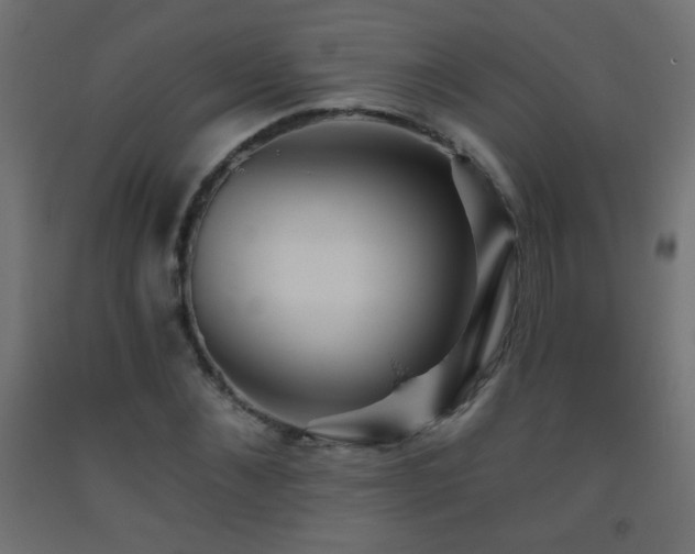 X0000093560876200710151105