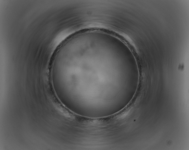 X0000093560879200710151105