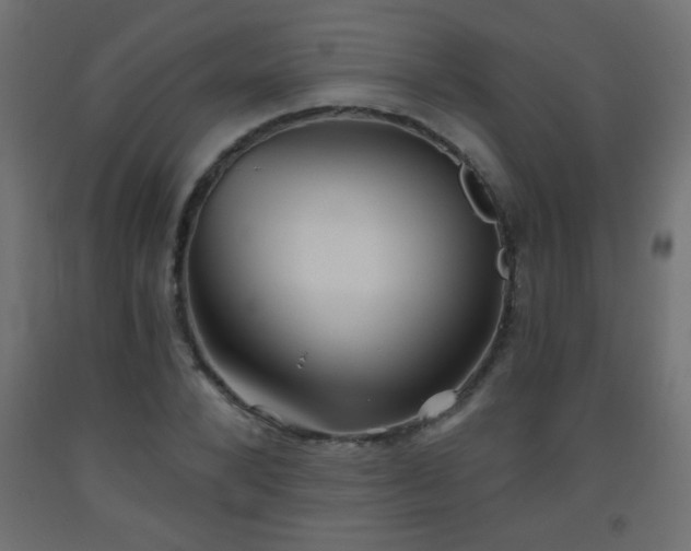 X0000093560880200710151105