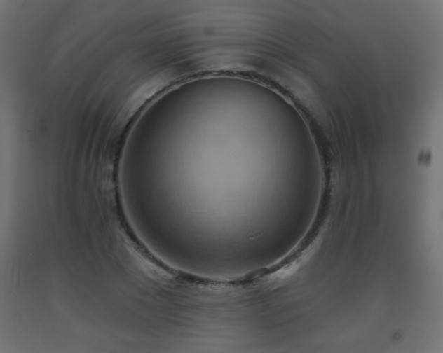 X0000093560881200710151105