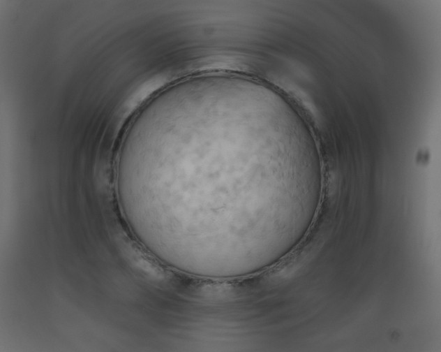 X0000093560882200710151105