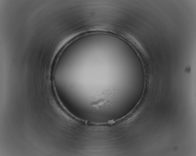 X0000093560884200710151105