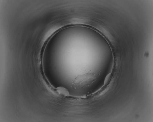 X0000093560885200710151105