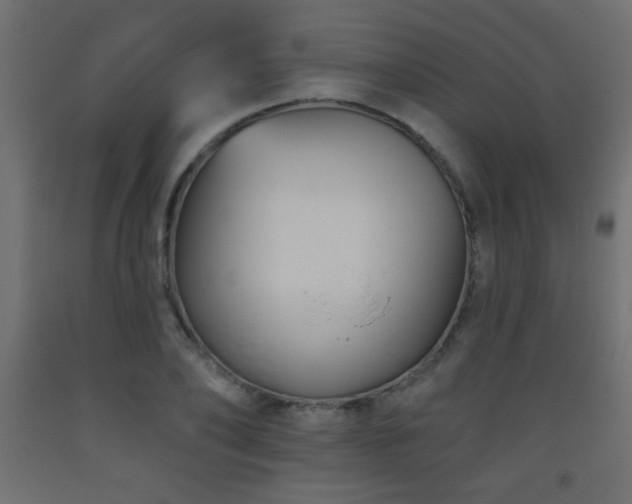 X0000093560886200710151105