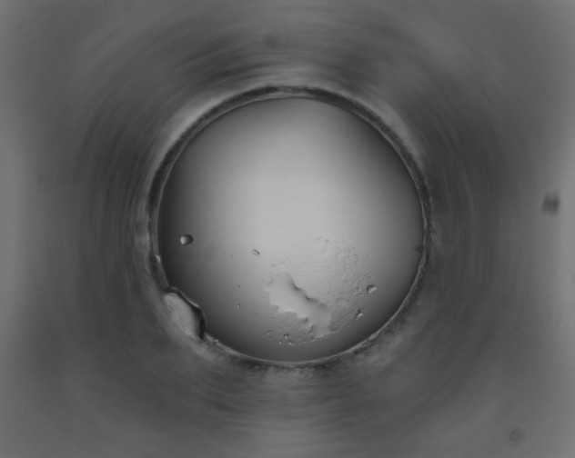 X0000093560887200710151105