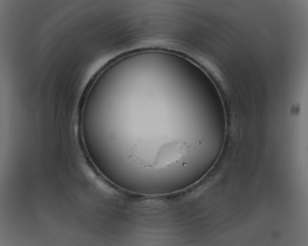 X0000093560888200710151105