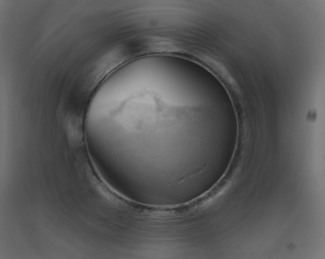 X0000093560889200710151105