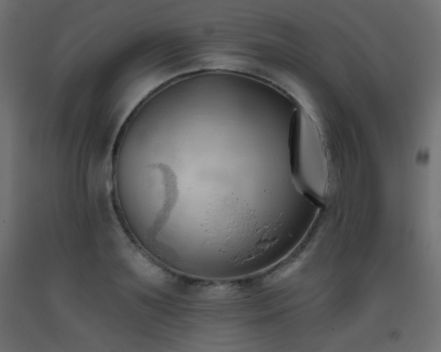X0000093560891200710151105