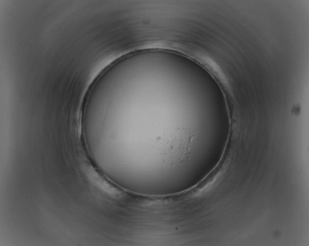 X0000093560892200710151105