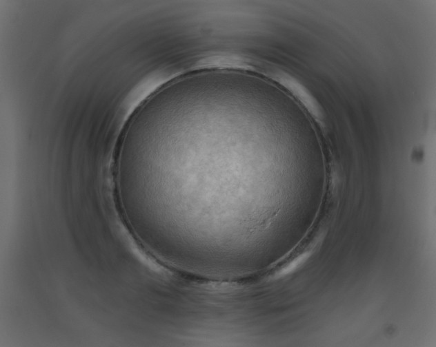 X0000093560893200710151105