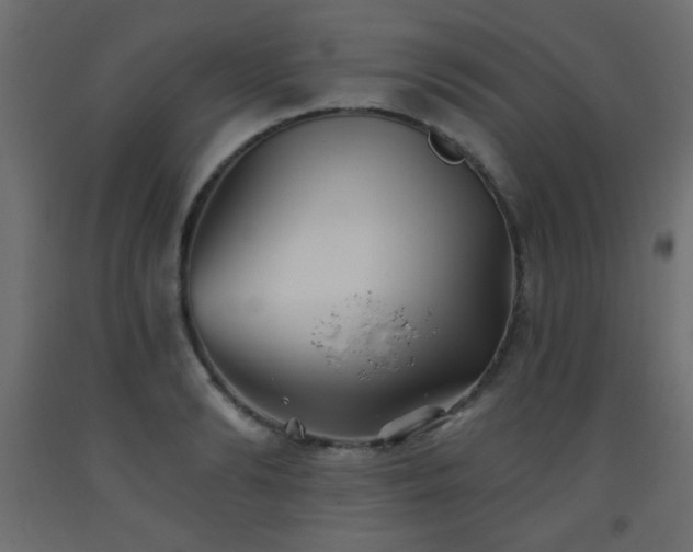 X0000093560894200710151105