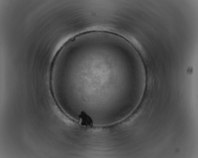 X0000093560896200710151105