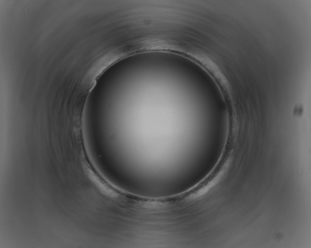 X0000093560897200710151105