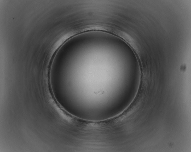 X0000093560898200710151105