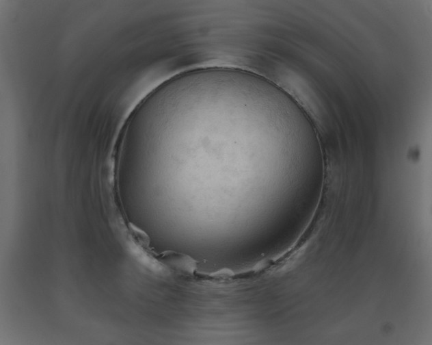 X0000093560900200710151105