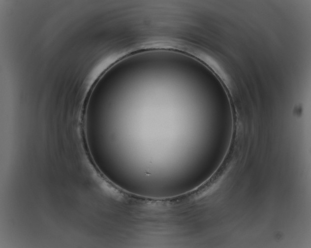 X0000093560901200710151105