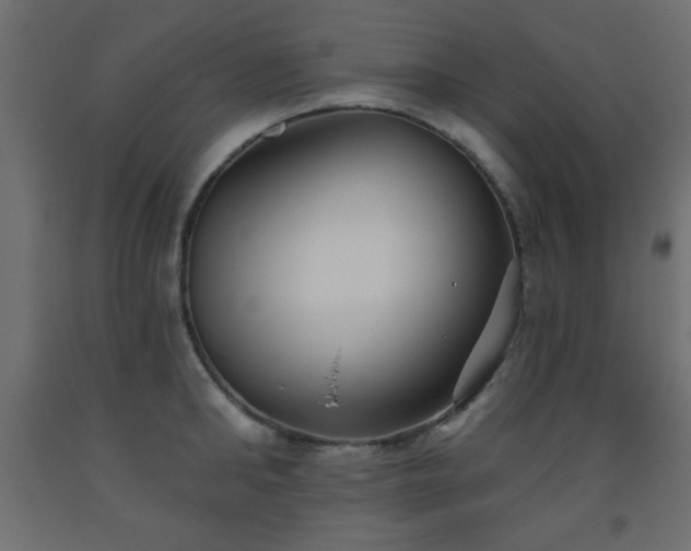 X0000093560902200710151105