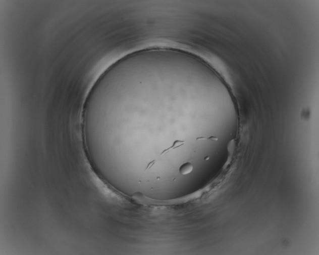 X0000093560903200710151105