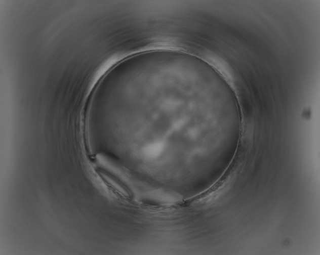 X0000093560907200710151105