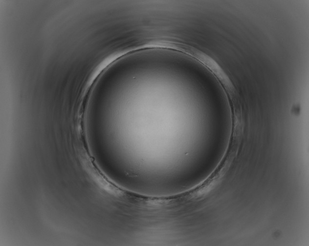X0000093560908200710151105