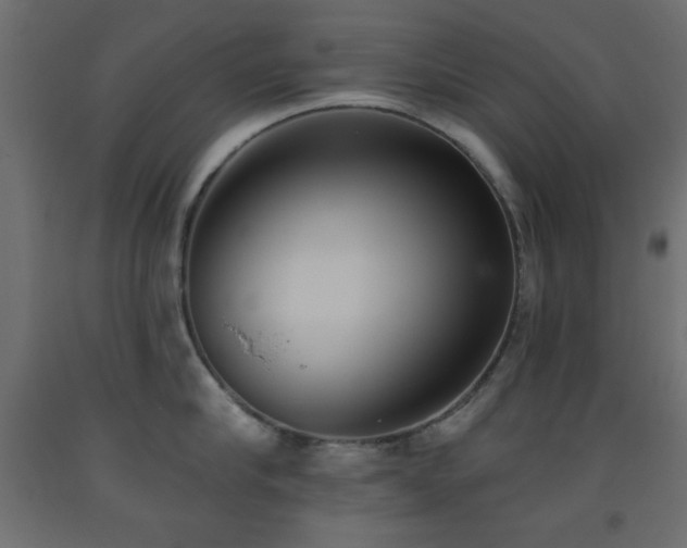 X0000093560910200710151104