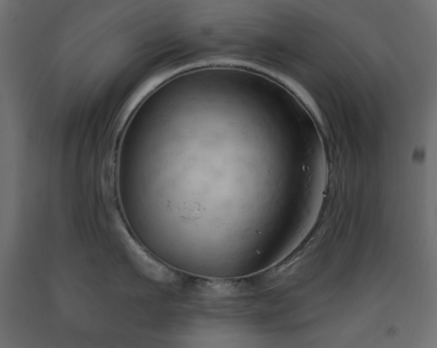 X0000093560911200710151104