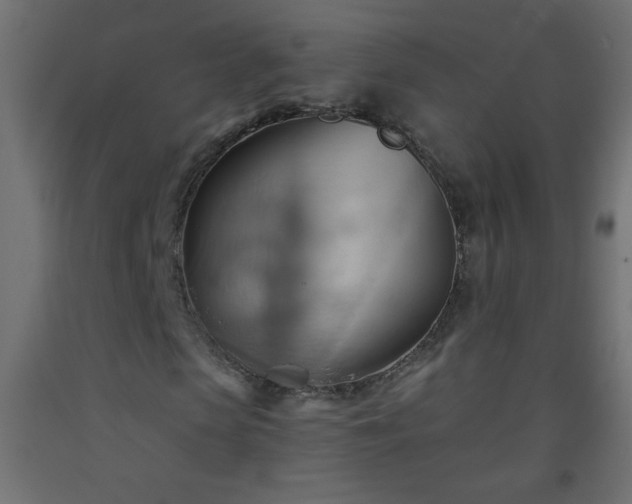 X0000093560913200710151104