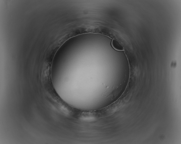 X0000093560914200710151104