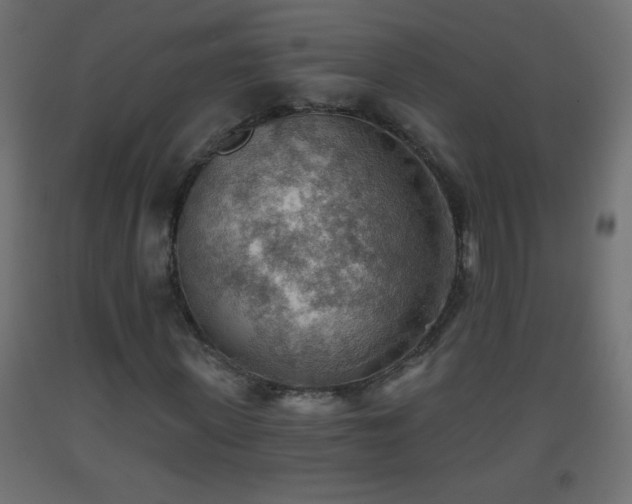 X0000093560915200710151104