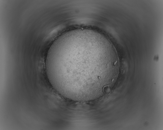 X0000093560918200710151104