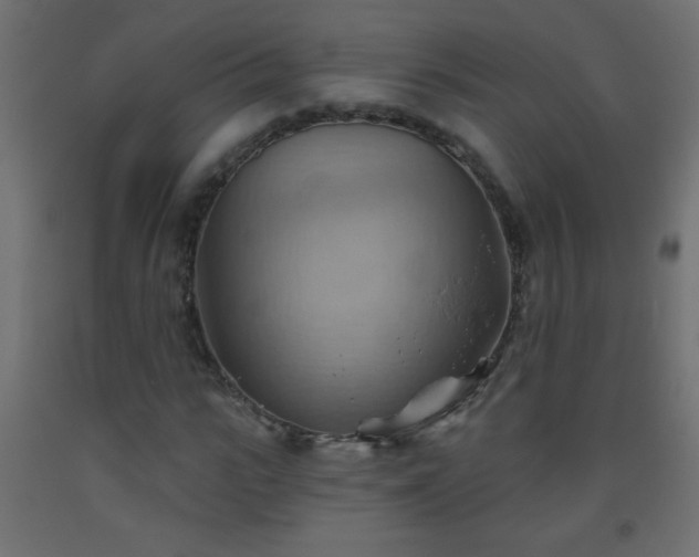 X0000093560919200710151104