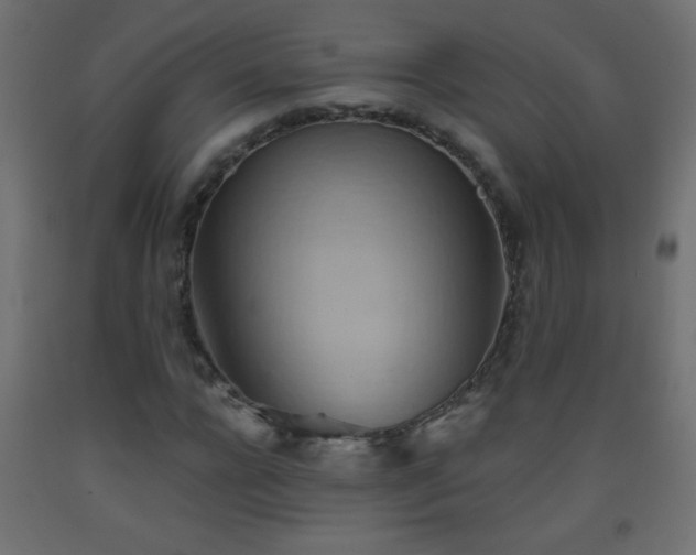 X0000093560920200710151104