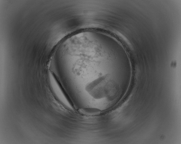 X0000093560921200710151104