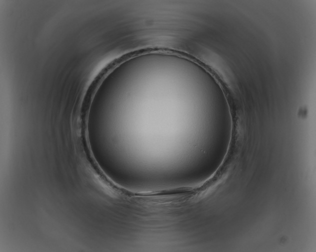 X0000093560924200710151104