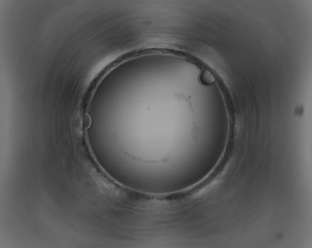 X0000093560925200710151104