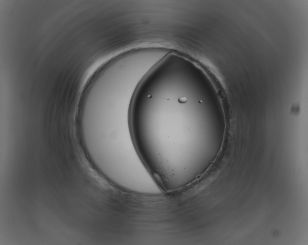 X0000093560928200710151104