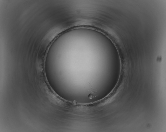 X0000093560929200710151104