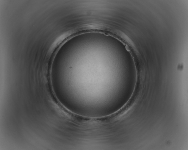 X0000093560930200710151104