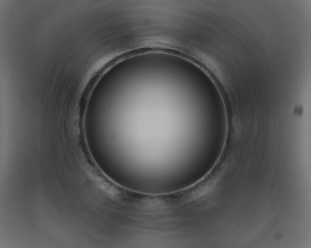 X0000093560931200710151104
