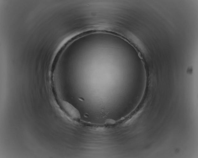 X0000093560932200710151104