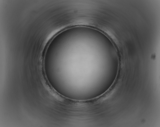 X0000093560933200710151104